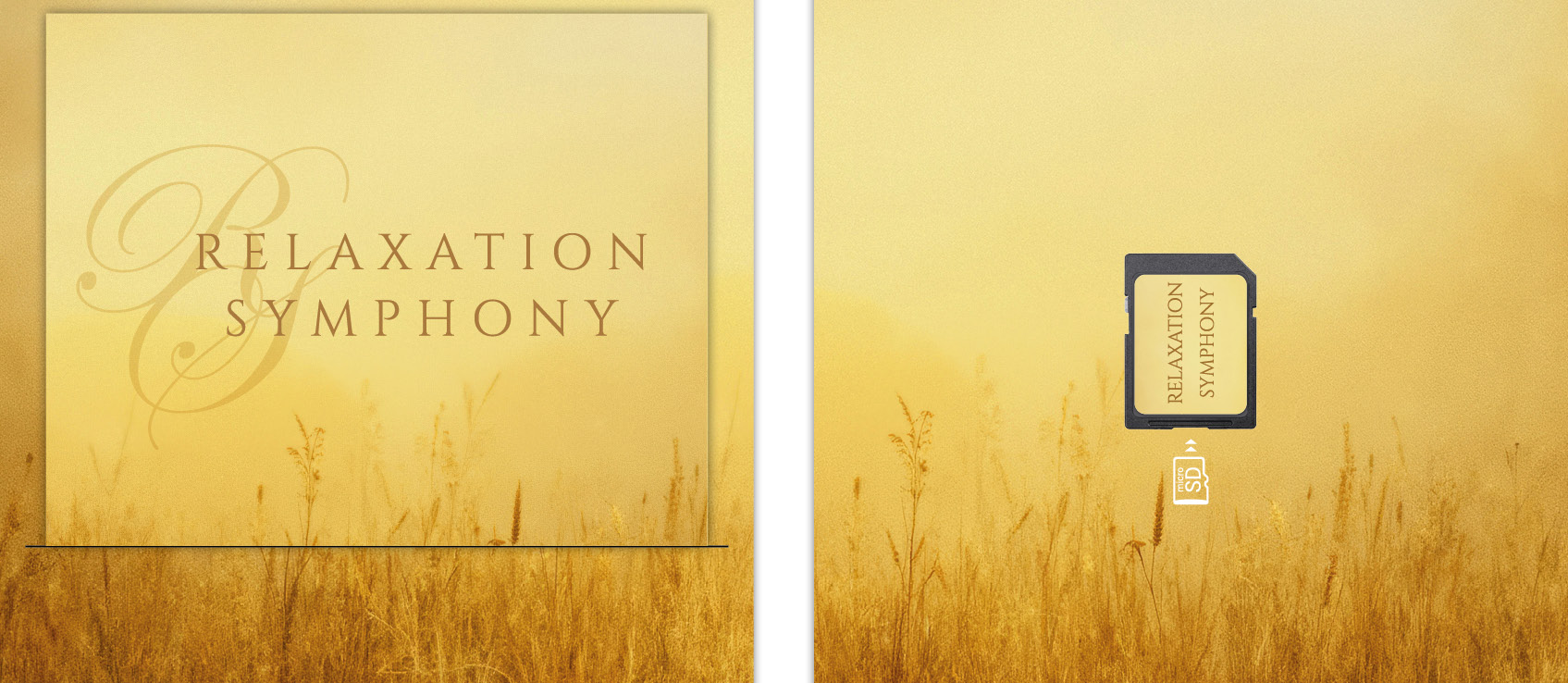 Golden field banner with 'Relaxation Symphony' title on the left and a labeled microSD card on the right.
